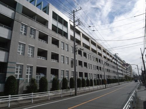 dotiramusa23.jpg