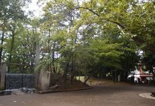 koasamonoi04.jpg