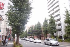 koasamonoi08.jpg