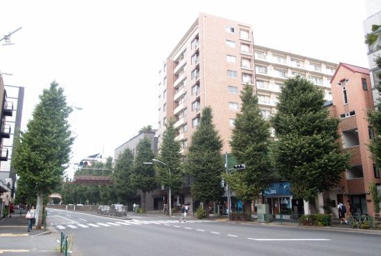koasamonoi09.jpg