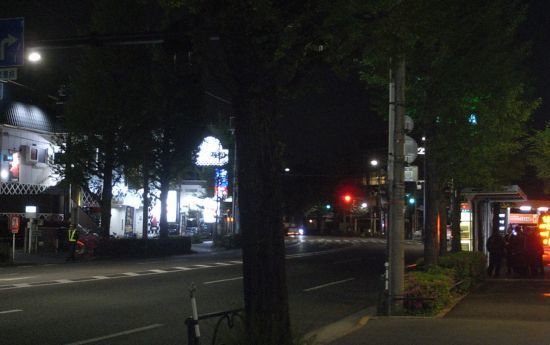 oginineko19.jpg