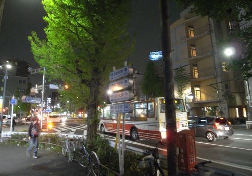 oginineko33.jpg