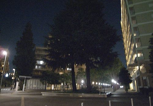ogtokano1r18.jpg